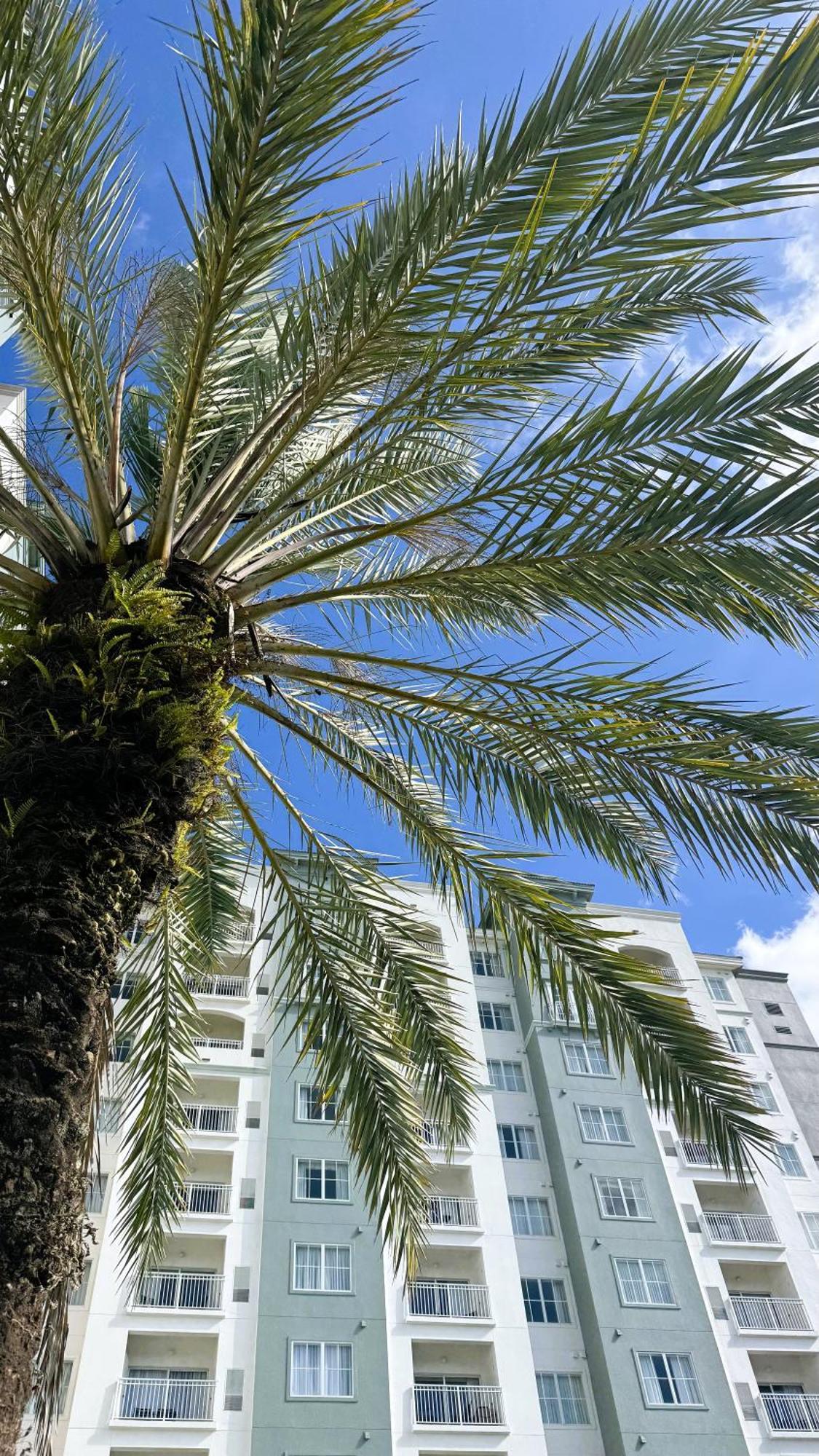The Point Hotel & Suites Universal Ορλάντο Εξωτερικό φωτογραφία